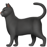 Apple design of the black cat emoji verson:ios 16.4