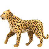 Apple design of the leopard emoji verson:ios 16.4
