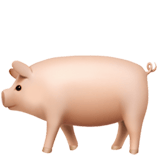 Apple design of the pig emoji verson:ios 16.4