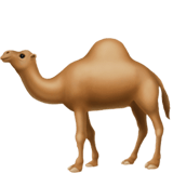 Apple design of the camel emoji verson:ios 16.4