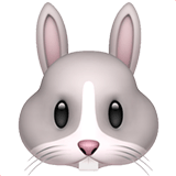 Apple design of the rabbit face emoji verson:ios 16.4