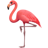 Apple design of the flamingo emoji verson:ios 16.4