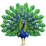 Apple design of the peacock emoji verson:ios 16.4