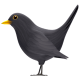 Apple design of the black bird emoji verson:ios 16.4