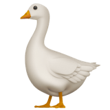 Apple design of the goose emoji verson:ios 16.4
