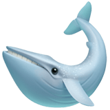 Apple design of the whale emoji verson:ios 16.4