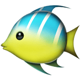 Apple design of the tropical fish emoji verson:ios 16.4