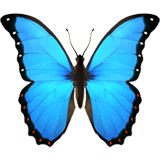 Apple design of the butterfly emoji verson:ios 16.4