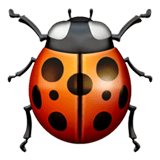 Apple design of the lady beetle emoji verson:ios 16.4