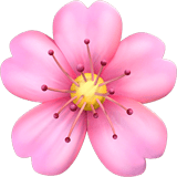 Apple design of the cherry blossom emoji verson:ios 16.4