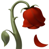 Apple design of the wilted flower emoji verson:ios 16.4