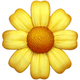 Apple design of the blossom emoji verson:ios 16.4
