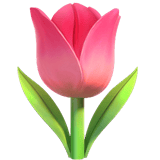 Apple design of the tulip emoji verson:ios 16.4