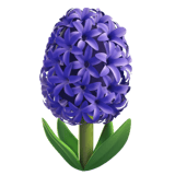 Apple design of the hyacinth emoji verson:ios 16.4