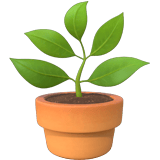 Apple design of the potted plant emoji verson:ios 16.4