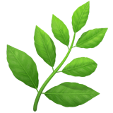 Apple design of the herb emoji verson:ios 16.4
