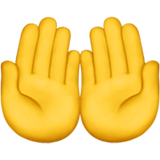 Apple design of the palms up together emoji verson:ios 16.4