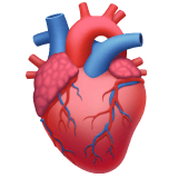 Apple design of the anatomical heart emoji verson:ios 16.4