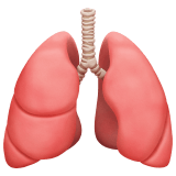 Apple design of the lungs emoji verson:ios 16.4