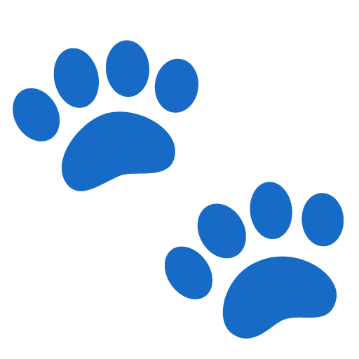 Google design of the paw prints emoji verson:Noto Color Emoji 15.0