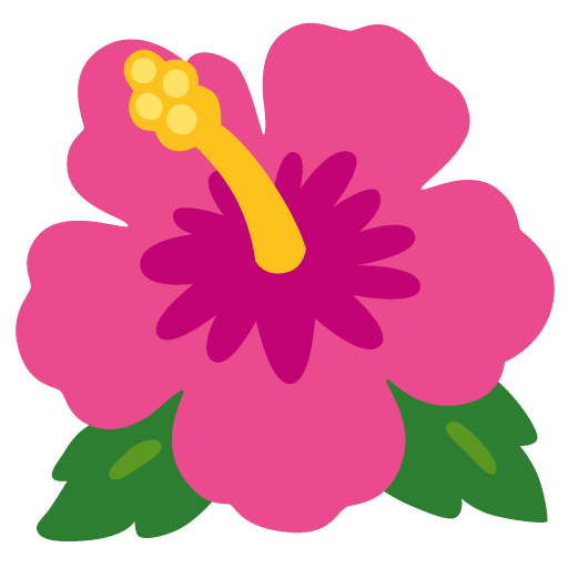Google design of the hibiscus emoji verson:Noto Color Emoji 15.0