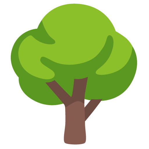 Google design of the deciduous tree emoji verson:Noto Color Emoji 15.0