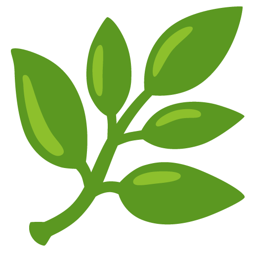 Google design of the herb emoji verson:Noto Color Emoji 15.0