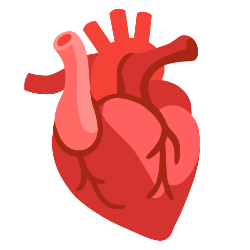 Google design of the anatomical heart emoji verson:Noto Color Emoji 15.0
