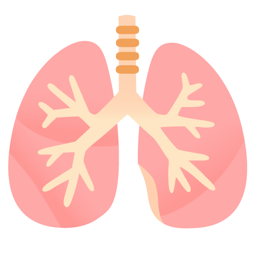 Google design of the lungs emoji verson:Noto Color Emoji 15.0