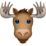 Whatsapp design of the moose emoji verson:2.23.2.72