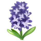 Whatsapp design of the hyacinth emoji verson:2.23.2.72