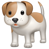 Whatsapp design of the dog emoji verson:2.23.2.72