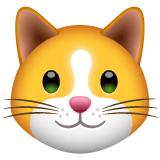 Whatsapp design of the cat face emoji verson:2.23.2.72