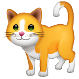 Whatsapp design of the cat emoji verson:2.23.2.72