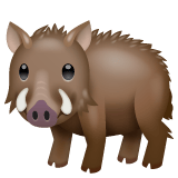 Whatsapp design of the boar emoji verson:2.23.2.72