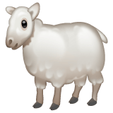 Whatsapp design of the ewe emoji verson:2.23.2.72