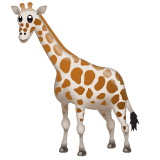 Whatsapp design of the giraffe emoji verson:2.23.2.72