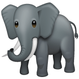 Whatsapp design of the elephant emoji verson:2.23.2.72