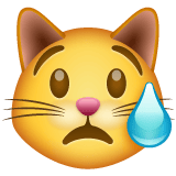 Whatsapp design of the crying cat emoji verson:2.23.2.72