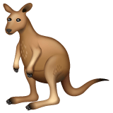 Whatsapp design of the kangaroo emoji verson:2.23.2.72