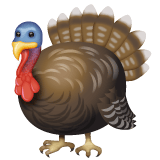 Whatsapp design of the turkey emoji verson:2.23.2.72
