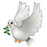 Whatsapp design of the dove emoji verson:2.23.2.72