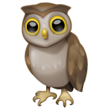 Whatsapp design of the owl emoji verson:2.23.2.72
