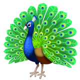 Whatsapp design of the peacock emoji verson:2.23.2.72
