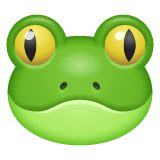 Whatsapp design of the frog emoji verson:2.23.2.72