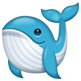 Whatsapp design of the whale emoji verson:2.23.2.72