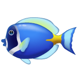 Whatsapp design of the tropical fish emoji verson:2.23.2.72