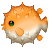 Whatsapp design of the blowfish emoji verson:2.23.2.72