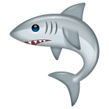 Whatsapp design of the shark emoji verson:2.23.2.72