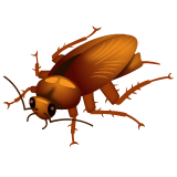Whatsapp design of the cockroach emoji verson:2.23.2.72